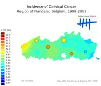  631_cervix_f.png 