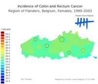  633_colonrectum_f.png 