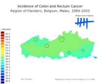  634_colonrectum_m.png 