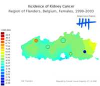  637_kidney_f.png 