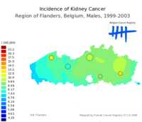  638_kidney_m.png 