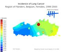  641_lung_f.png 