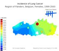  641_lung_f_EU.png 