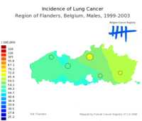  642_lung_m.png 