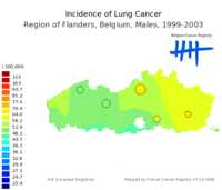  642_lung_m_EU.png 