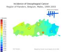  649_oesophagus_m_9903.png 