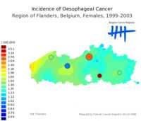  650_oesophagus_f_9903.png 