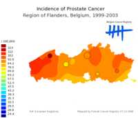  652_prostate_9903_EU.png 