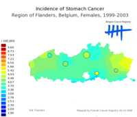  654_stomach_f_9903.png 