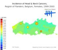  717_headneck_f_9903.png 