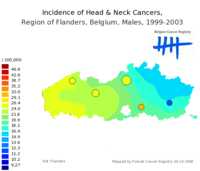  718_headneck_m_9903.png 